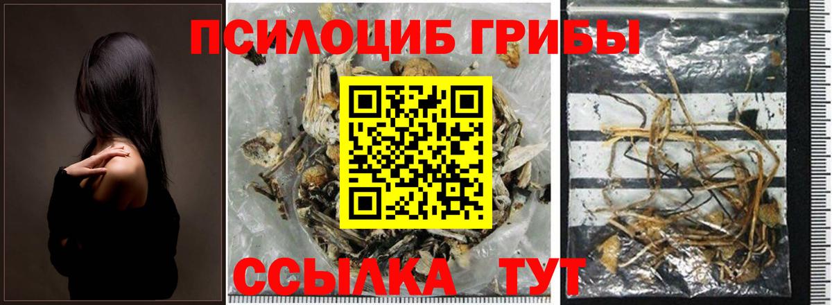 Псилоцибиновые грибы ЛСД Можайск